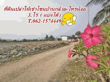 ลดราคารับสงกรานต์ที่ดินให้เช่า ที่ดินให้เช่าโซนบ้านกล้วยไทรน้อย (บางบัวทอง) T.062-1574449